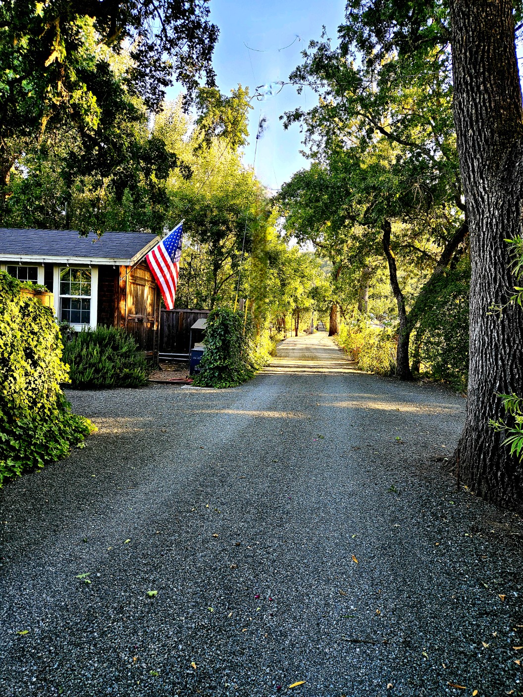 Composting with chicken droppings